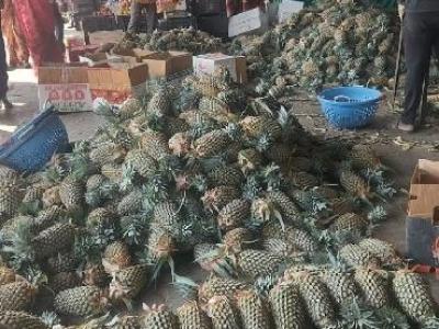 Fruit Maret Auction Hall2