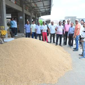 Principle_market_original